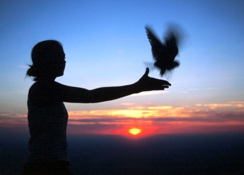 We may need to let unrealistic hopes and expectations go like letting go of a bird.