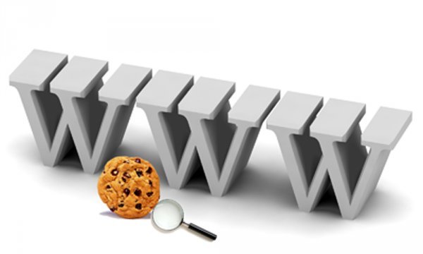 World wide web acronyms and cookies.