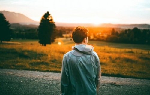A boy in a field facing the sunset.