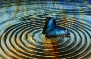 Chaos Theory or "The Butterfly Effect"
