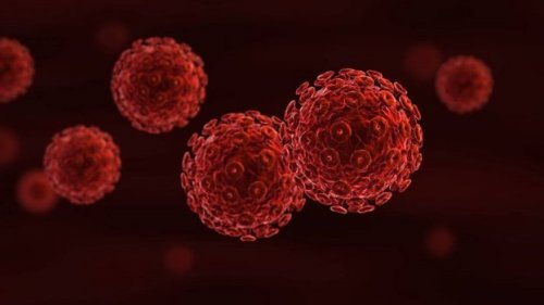 Infected cells STDs.