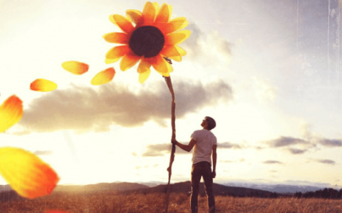 Man holding giant sunflower.