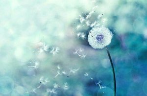 When Coincidences Add Up, You're on the Right Track