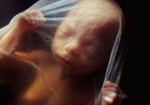 Otto Rank and the Trauma of Birth