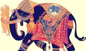 The Beautiful Story of the Elephant That Lost its Wedding Ring
