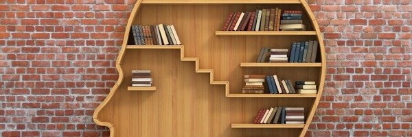 Book shelf in the shape of a head.