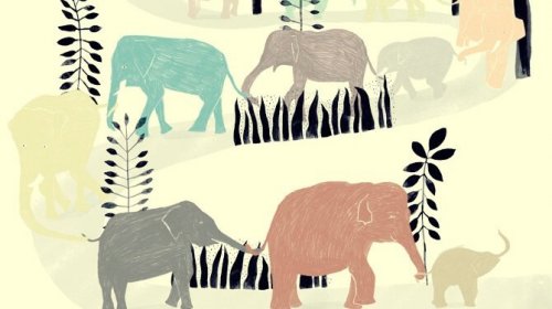 A herd of elephants.