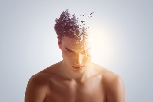 Birds on a man's head.