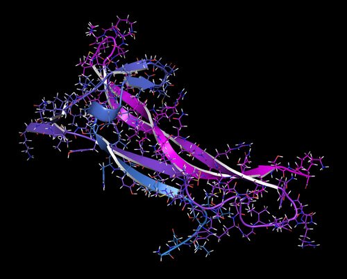 Natural methods are the only way to increase BDNF.