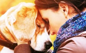 Why We Come to Love an Animal so Much