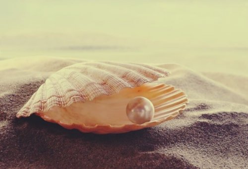 Oyster with a pearl and the wisdom of persian love proverbs.