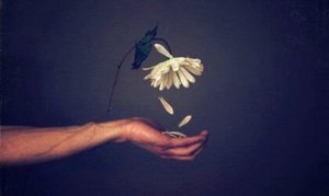 Contempt Causes Psychological Damage