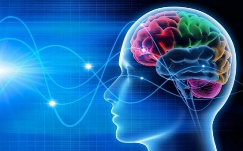 Brain waves.