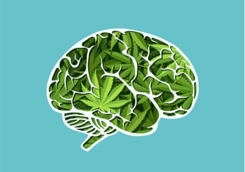 The Long-Term Effects of Cannabis on the Brain
