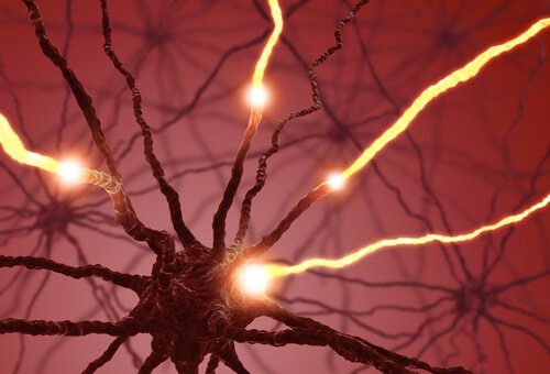 Electric impulses in neurons.