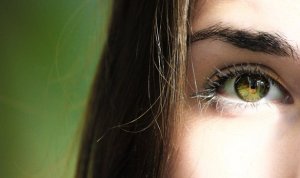 The Flynn Effect or Why We're Getting Smarter