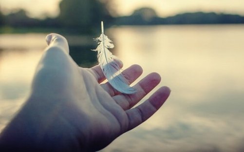 The person not gripping a feather that knows when to let go.