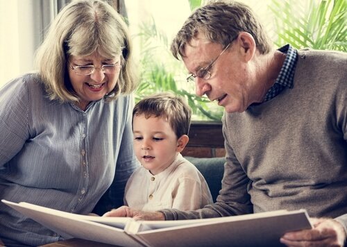 Kangaroo grandparents play an important role in raising their grandchildren.