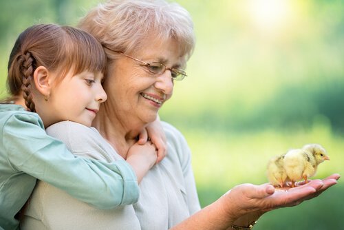 Kangaroo grandparents form special bonds with their grandchildren.