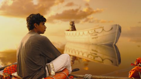Pi with tiger in the ocean in Life of Pi.