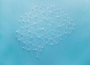 What is a Neuropsychological Evaluation?