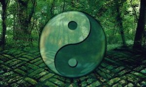7 Laozi Quotes to Help You Evolve