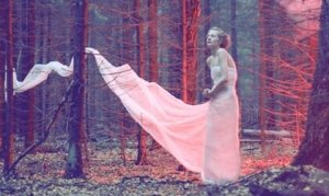 A Highly Sensitive Person and Their Emotionally Negligent Family