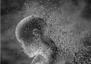 What is Panophobia?