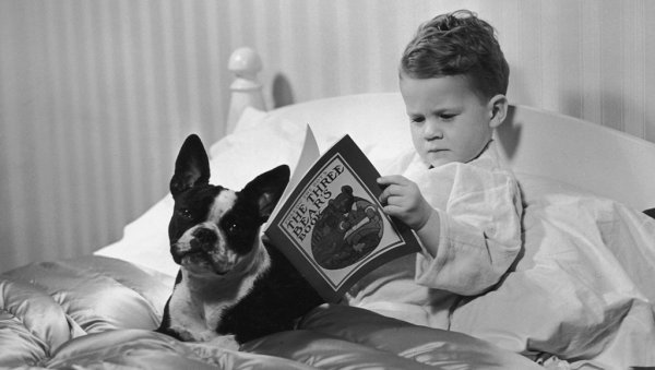 Jongetje leest in bed met zijn hond