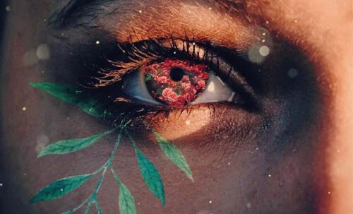 An eye with flowers sprouting out of it.