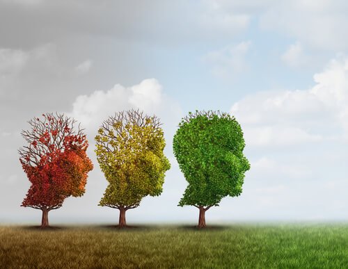 Head-shaped trees.