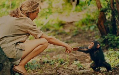 Jane Goodall and a primate.