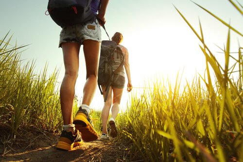 People walking on a pilgrimage experiencing communitas.