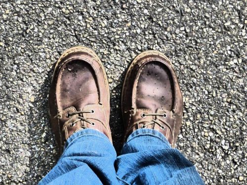 A pair of legs with leather shoes on the feet.