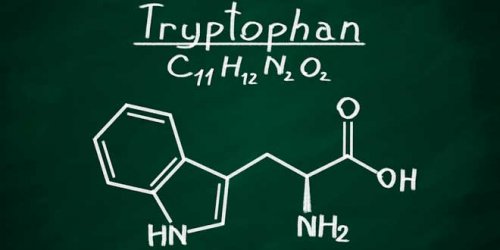 Chemical formula of tryptophan.