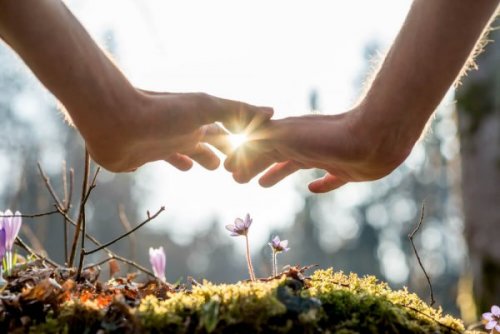 Two hands practicing the power of patience in the forest.