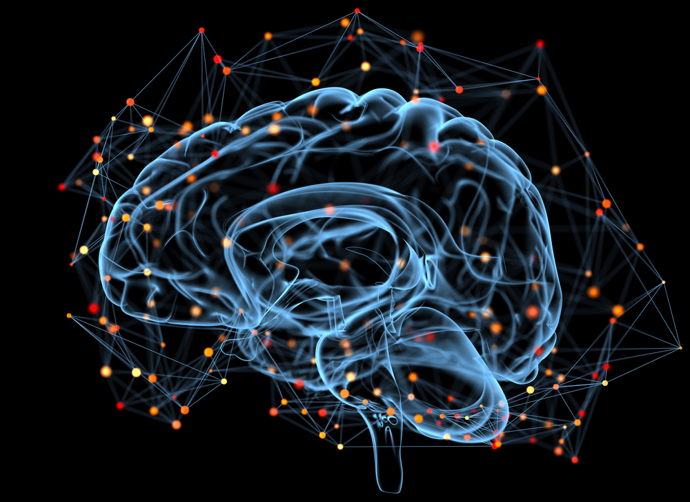 cognitive load theory by john sweller