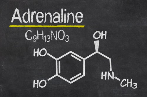 The chemical structure of adrenaline.