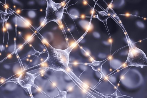 Connectionism and neurons.