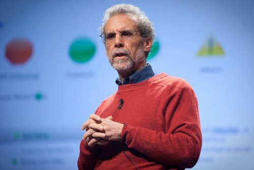 Daniel Goleman giving a presentation.