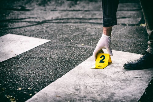 What is the Cause of Organized Crime?