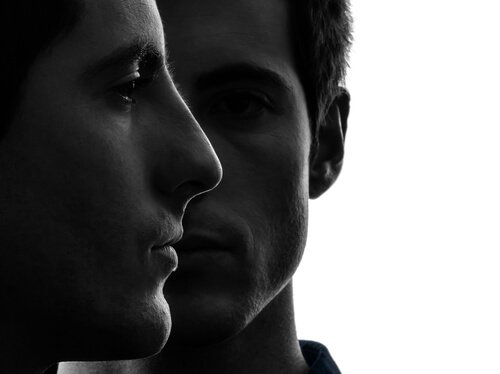 The faces of identical twins.