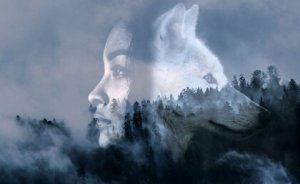 Boldness: Having the Courage to Take Risks