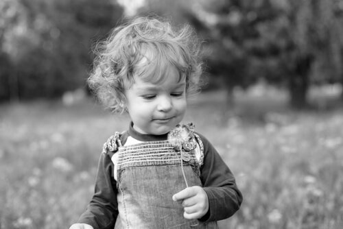 A boy holding a dandelion.