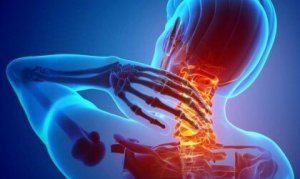 Nociceptors: All about Pain Receptors