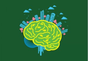Neuroarchitecture: The Environment's Power Over the Brain