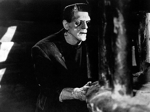 Mary Shelley's Frankenstein.