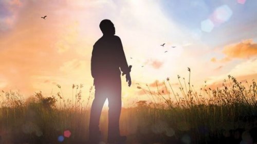 A man in a sunny field, at dawn.