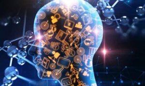 The Swiss Army Knife Theory: Modularity of the Mind