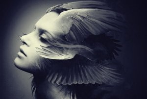 Fear Will Never Disappear